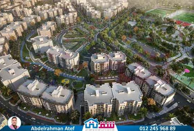 8029474 - Property Image 2