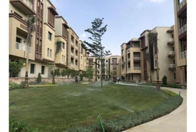 8250954 - Property Image 3