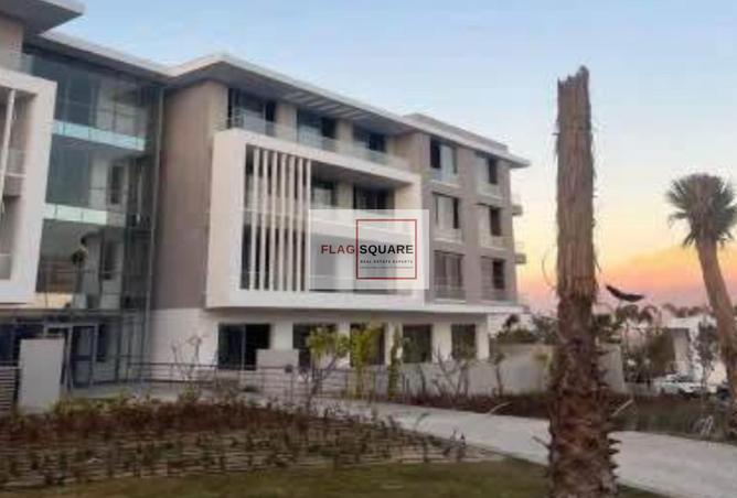 8282393 - صورة العقار 2