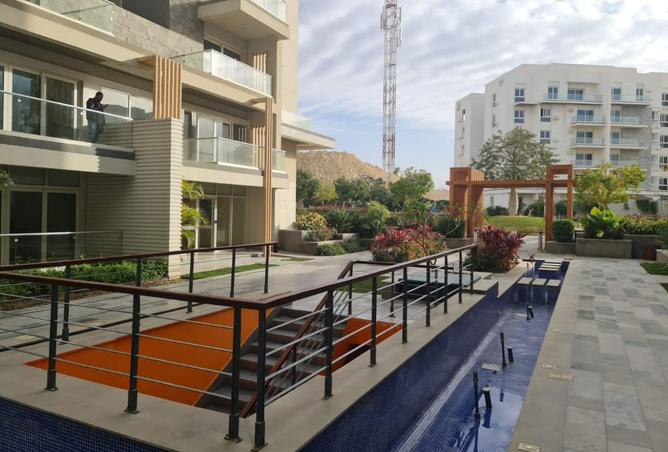 8117661 - Property Image 3