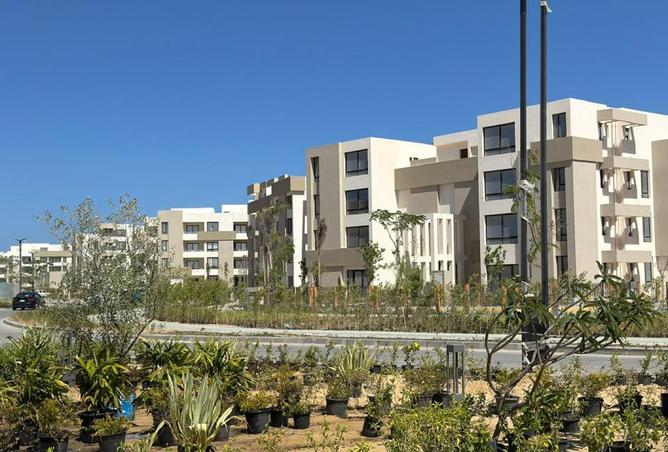 8215830 - Property Image 2