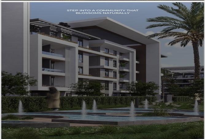 8557602 - Property Image 3