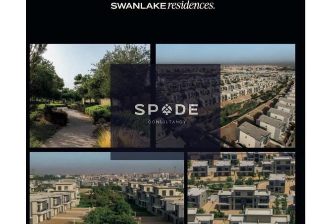 8165944 - Property Image 2