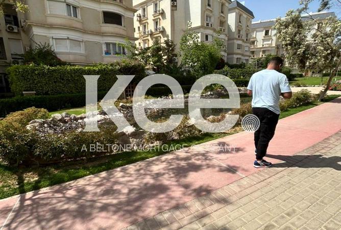 8387979 - صورة العقار 3