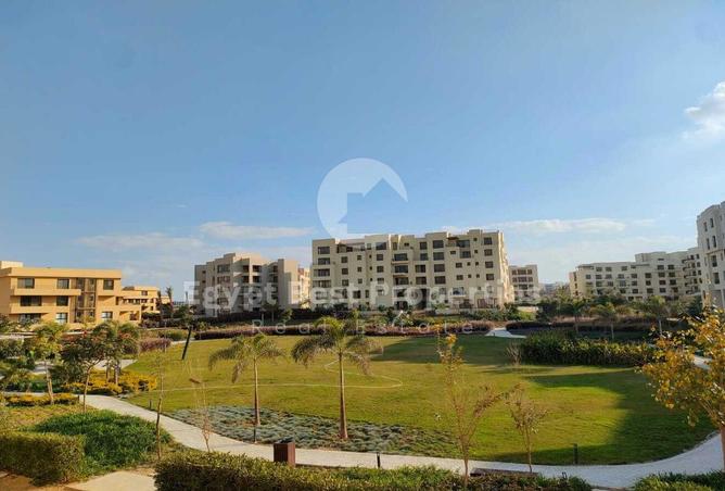 7882653 - Property Image 3