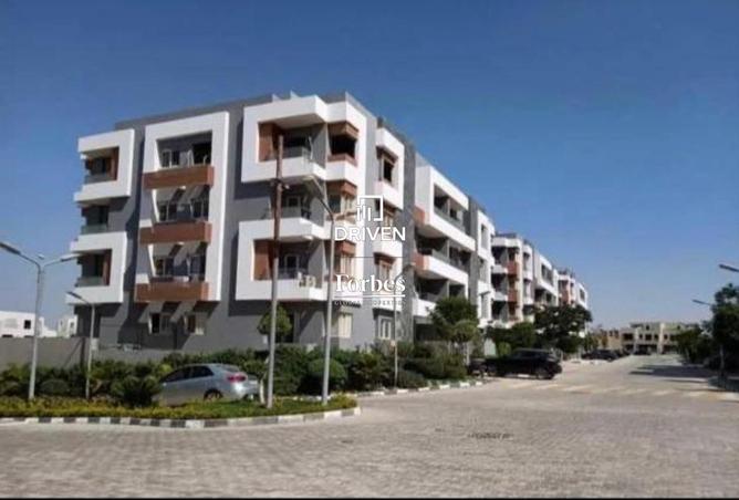 8456895 - صورة العقار 3