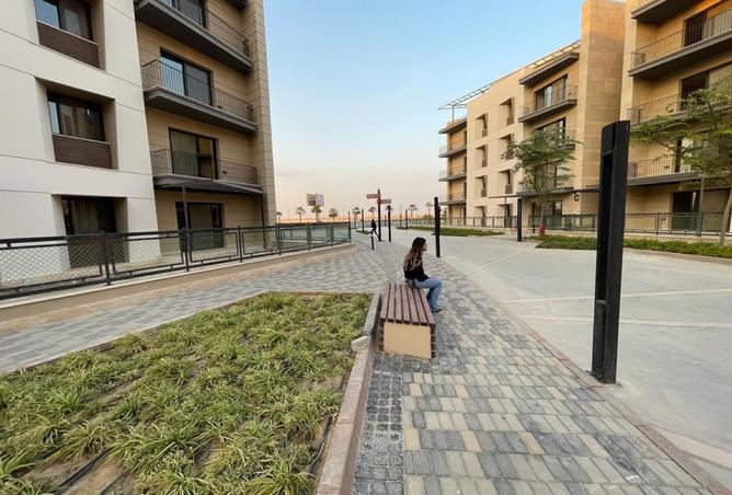 8286105 - Property Image 3