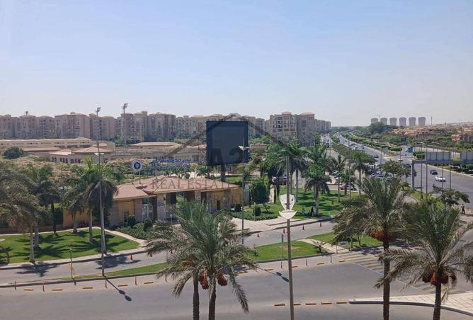 8374411 - Property Image 2