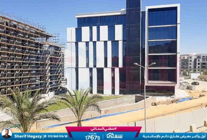 8278694 - Property Image 2