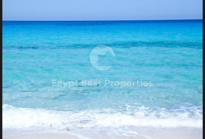 8436460 - Property Image 2