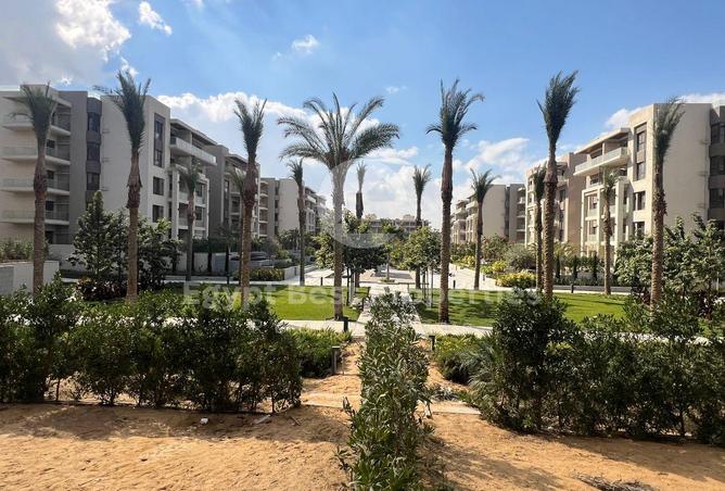 7957422 - صورة العقار 2