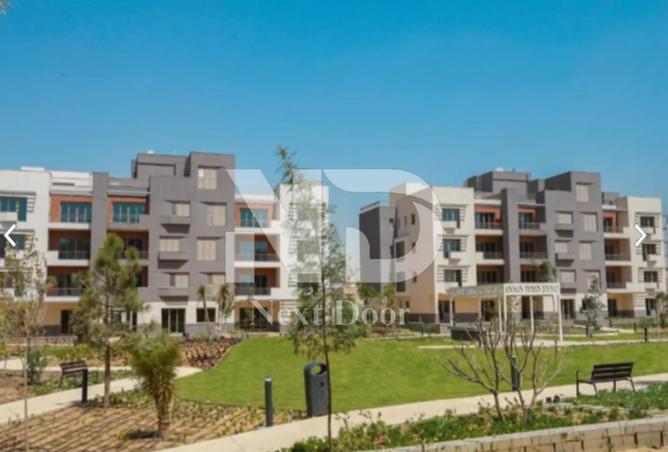 8535963 - Property Image 3