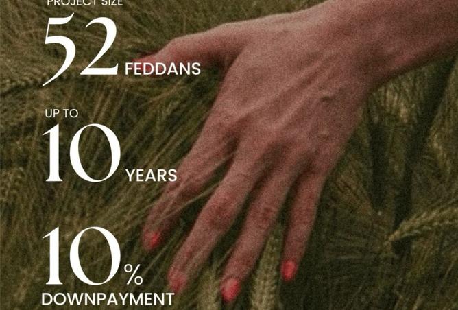 8390024 - صورة العقار 2