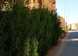 Apartment - 3 bedrooms - 2 bathrooms for للبيع in Mohamed Naguib Axis - Abou El Houl - New Cairo City - Cairo Apartment - 3 bedrooms - 2 bathrooms for للبيع in Mohamed Naguib Axis - Abou El Houl - New Cairo City - Cairo