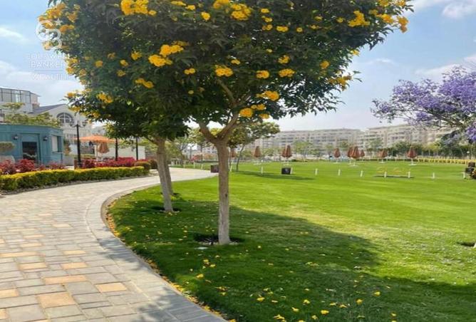 7906586 - صورة العقار 2
