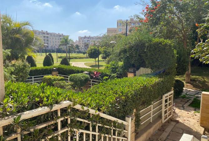 8037063 - الصورة الرئيسية للعقار