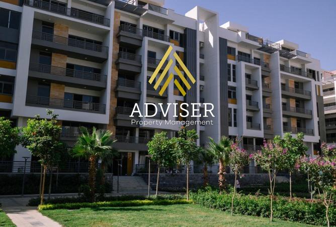 8140509 - Property Image 3