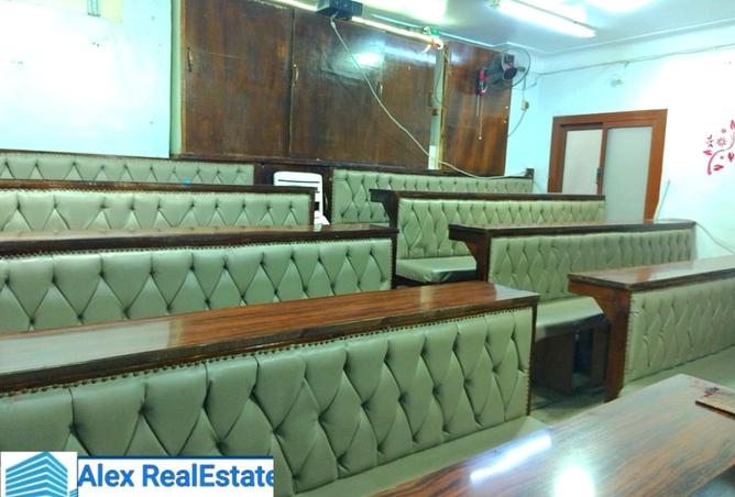 8385719 - Property Image 3