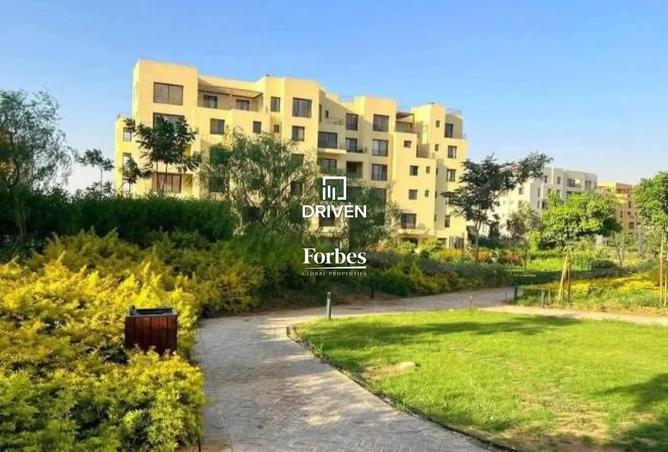 8167692 - Property Image 2