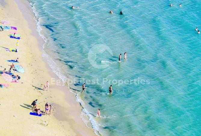 8164684 - صورة العقار 3