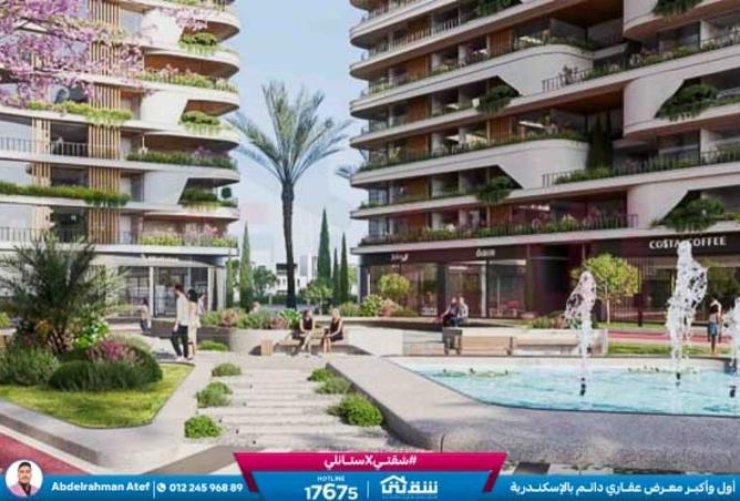 8370430 - Property Image 2