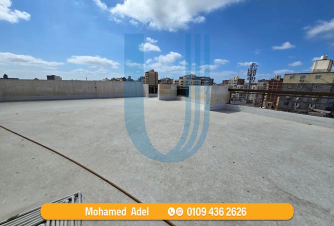 7980281 - Property Image 3