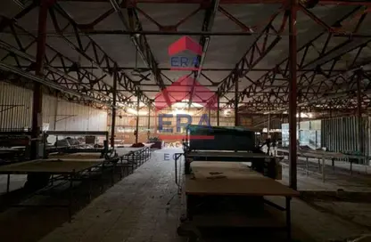 Factory - Studio for rent in Ismailia Desert Road - Industrial Area 10th Ramadan - 10th of Ramadan City - Sharqia