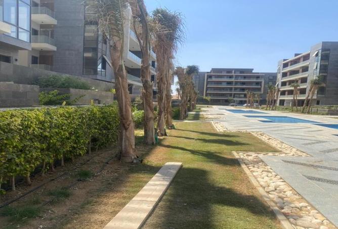 8397503 - صورة العقار 3