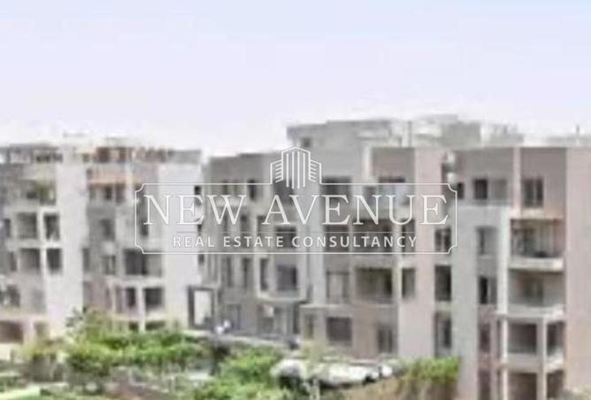8154861 - Property Image 2