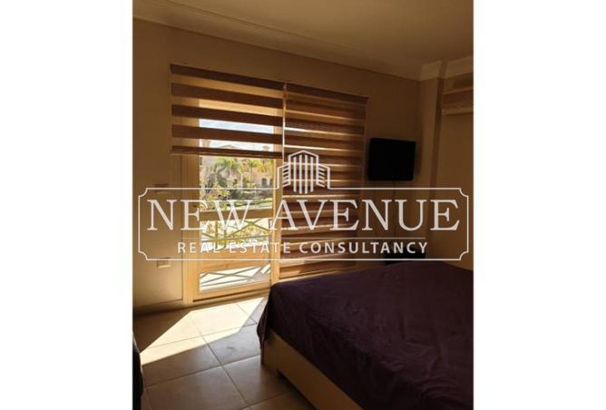 8082491 - Property Image 2