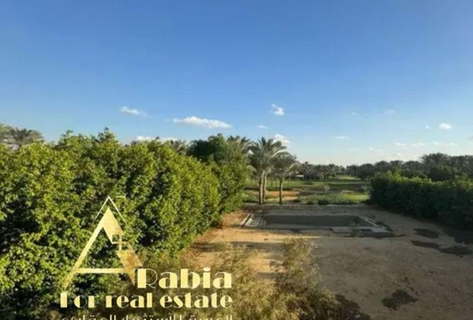 8511924 - Property Image 3