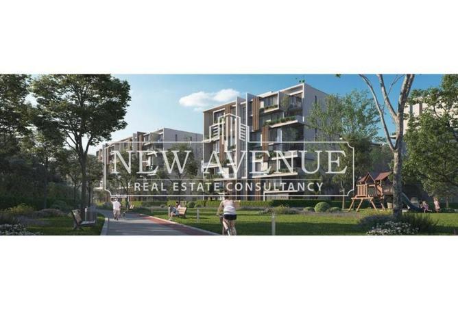 7923281 - Property Image 3