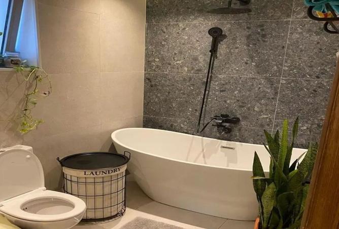 7905559 - Property Image 3