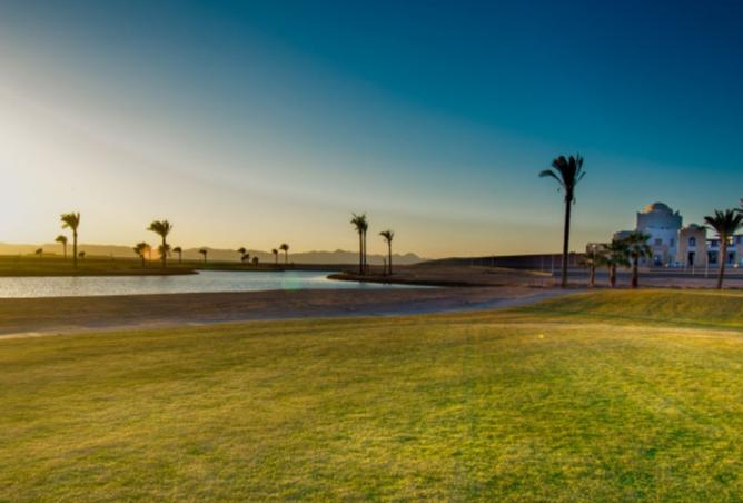 8202691 - صورة العقار 3