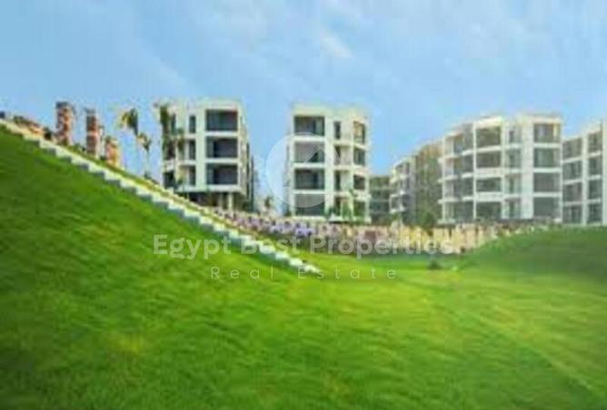 8245315 - Property Image 3