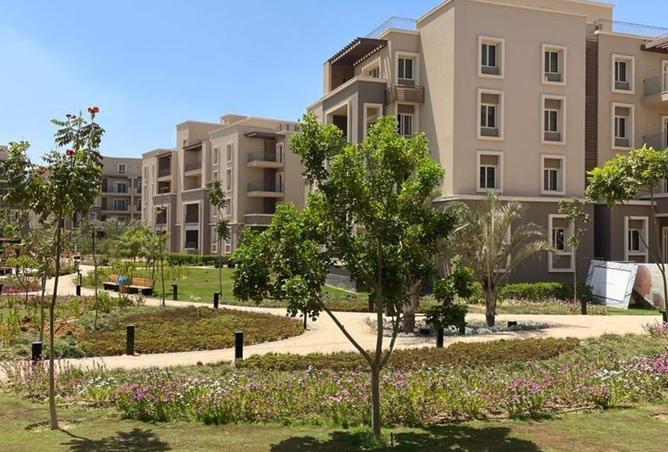 8084243 - Property Image 3
