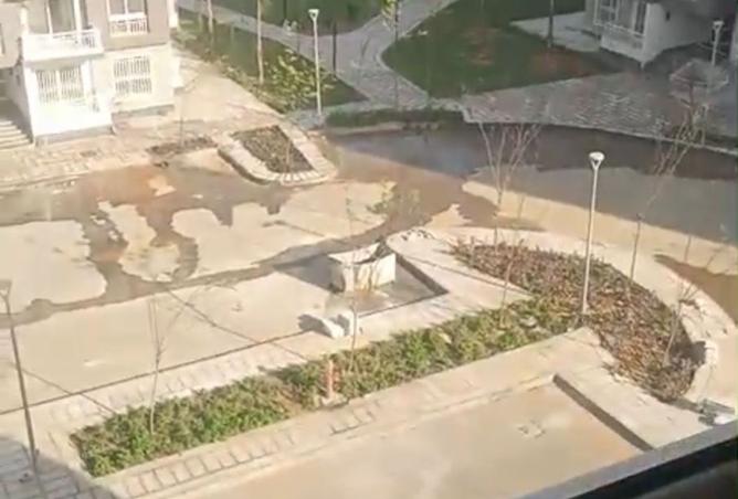 8350248 - الصورة الرئيسية للعقار