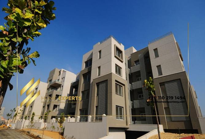 8096158 - Property Image 2