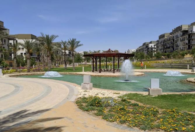 8041709 - Property Image 3