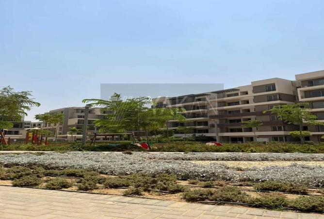 7974317 - Property Image 3