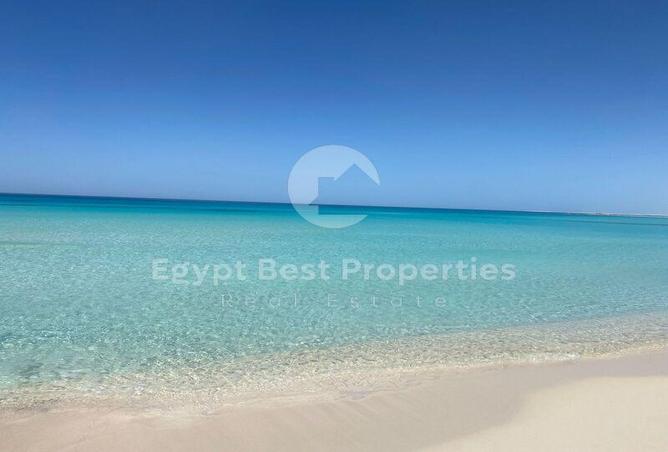 7976614 - Property Image 3