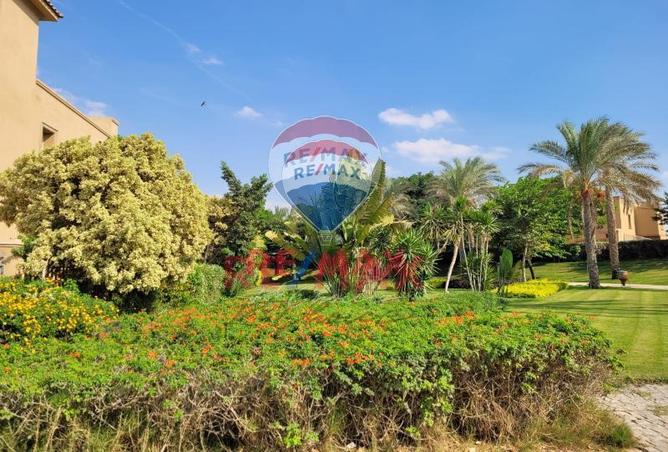 7953999 - صورة العقار 2