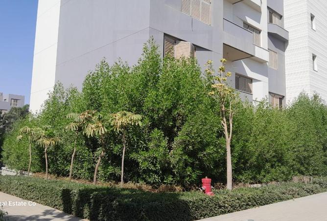 8207865 - صورة العقار 2