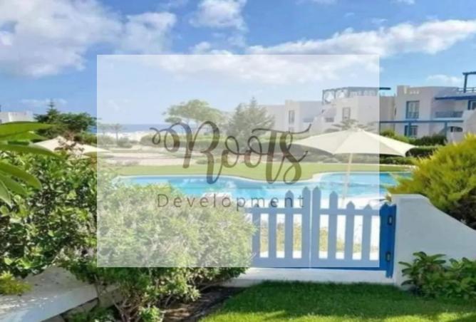 8096164 - Property Image 2