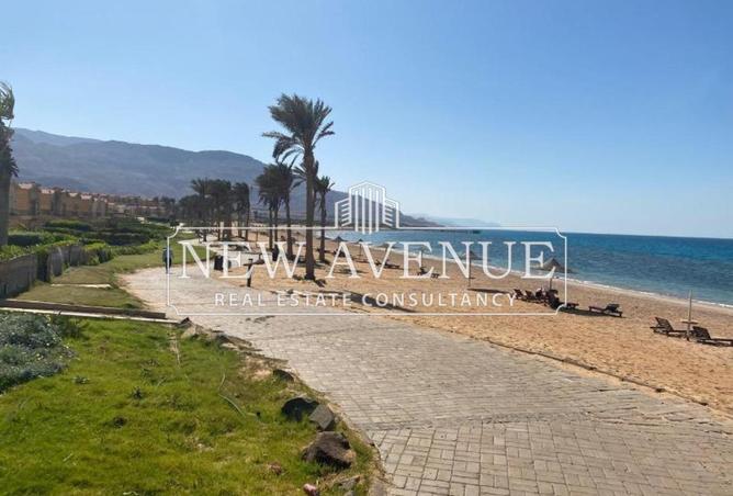 8086589 - Property Image 3