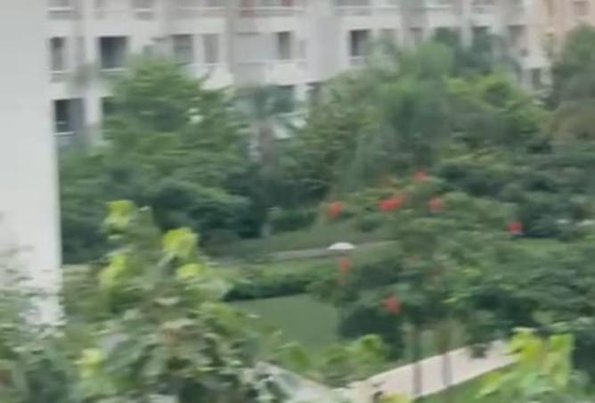 8160736 - صورة العقار 3