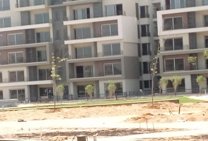 8216738 - Property Image 3