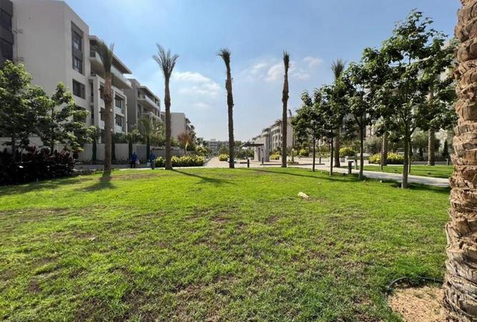 8094362 - Property Image 3
