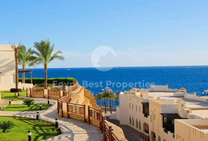 8362004 - Property Image 3