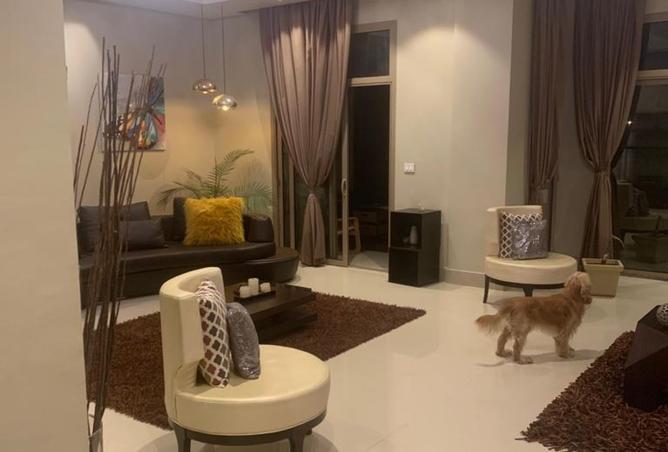 7953217 - صورة العقار 3